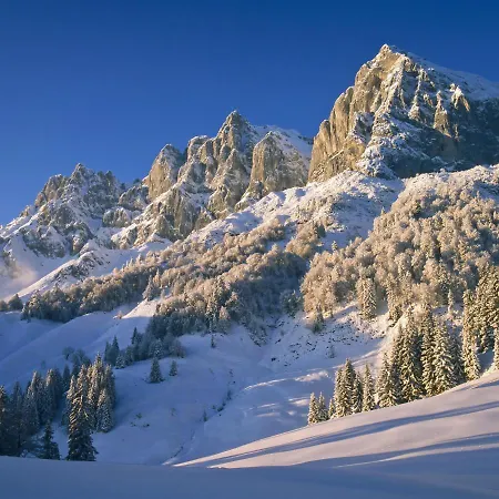 Garden Going am Wilden Kaiser